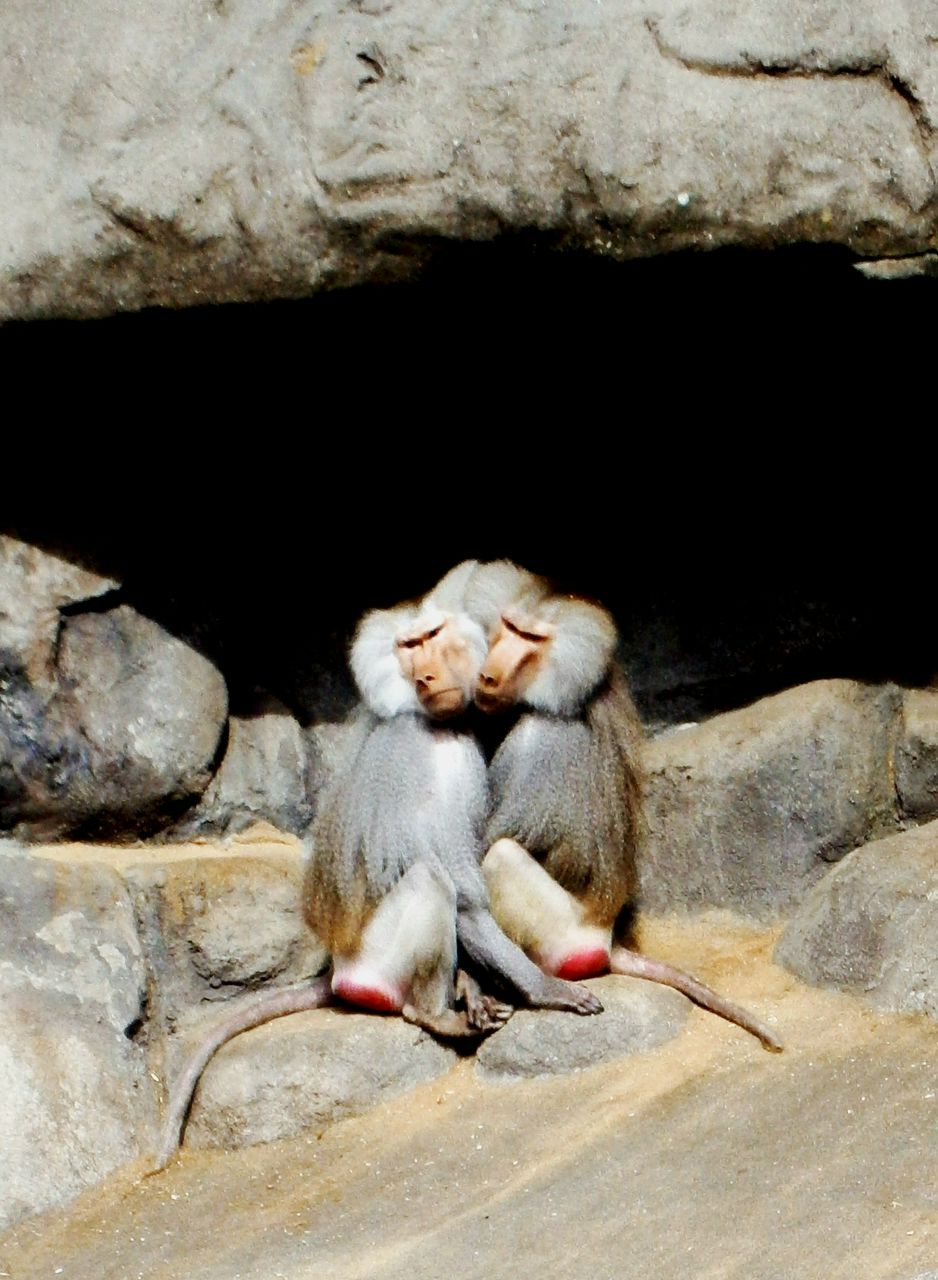 Настенька Ожог-Бодня | Wiesbaden