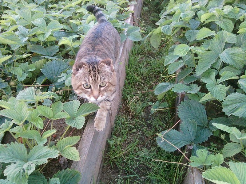 Руслана Нагайчук | Ванино