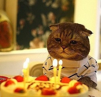 №63, Никита Бакланов №63, Никита Бакланов