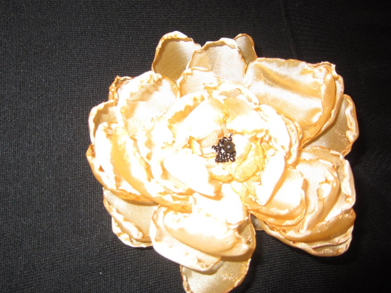 Светлана Шеремет | Измаил