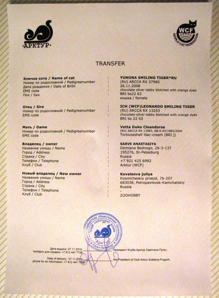 Фото профиля