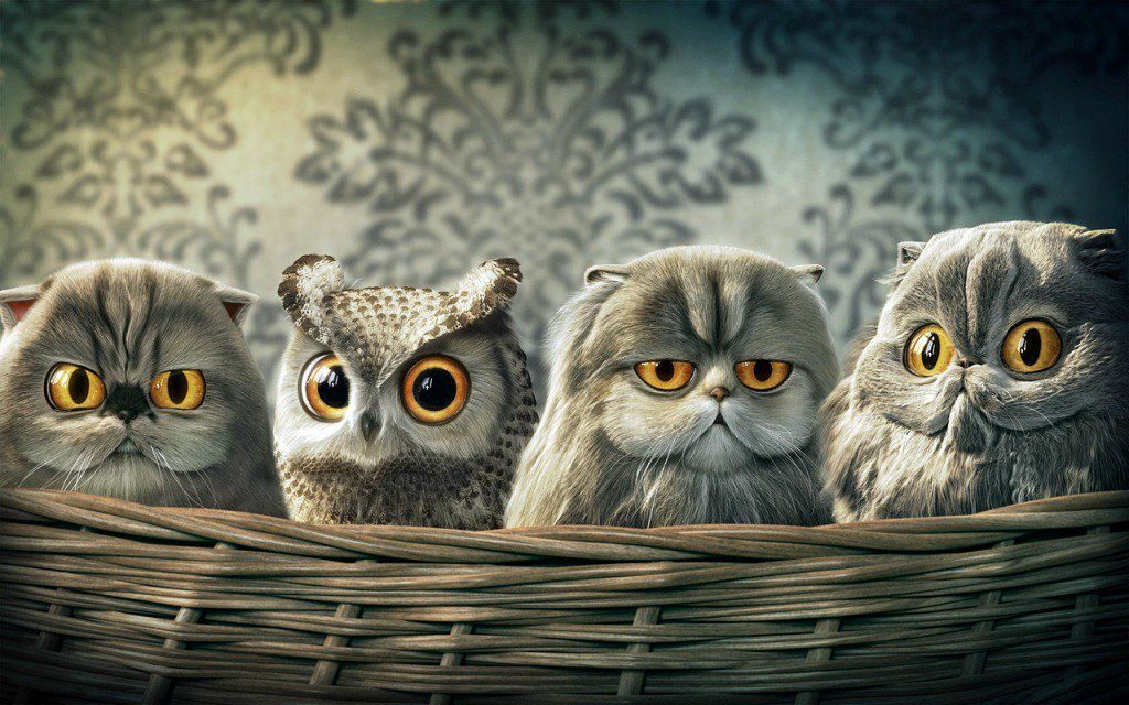 Вадим Кальсин | Киев