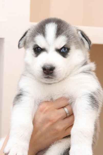 Евгений Матвеев | Москва