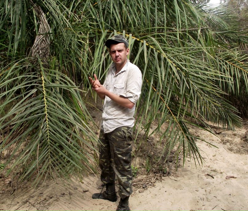 Артем Маяцкий | Дружковка