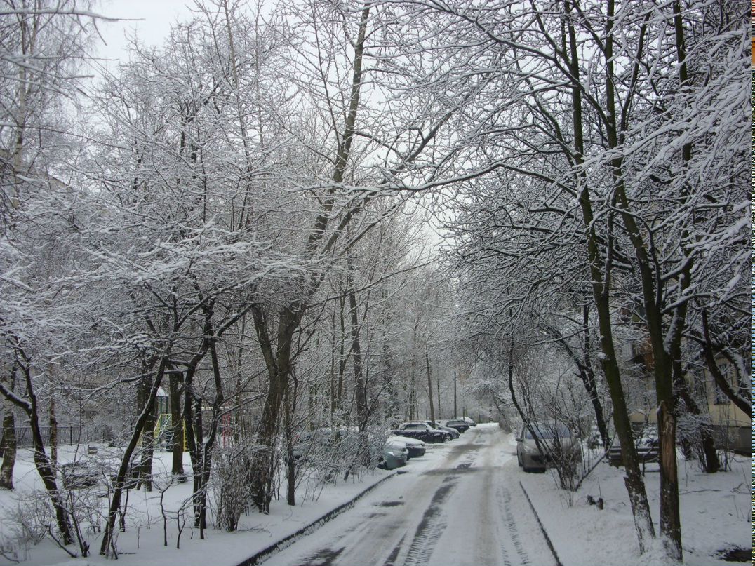 Алексей Фарисеев | Санкт-Петербург