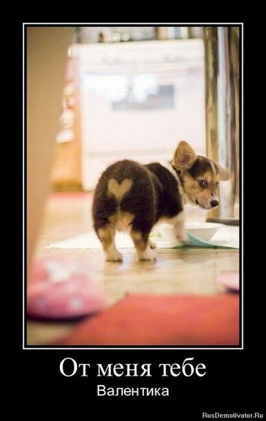 Юля Капелюшок | Киев