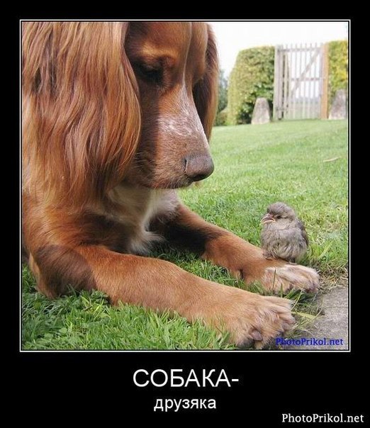 Юля Капелюшок | Киев