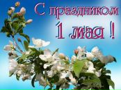 №2 Ольга Фатеева : профиль, фото, статус - ВКонтакте