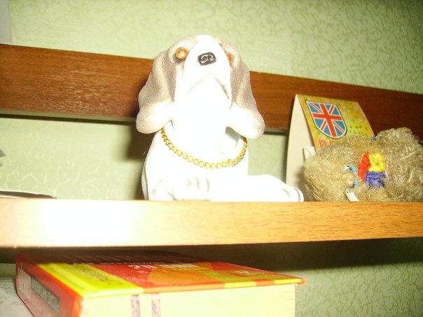 №77, Дарья Котыхова, 1.10 №77, Дарья Котыхова, 1.10