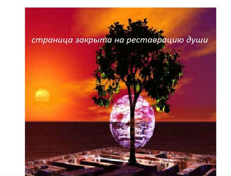 №162, Елена Шмакова №162, Елена Шмакова