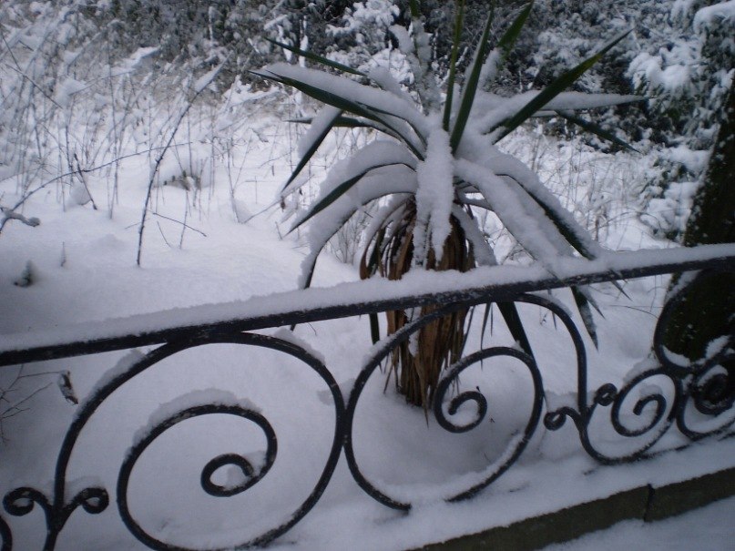 Татьяна Лыткина Викторовна | Йошкар-Ола