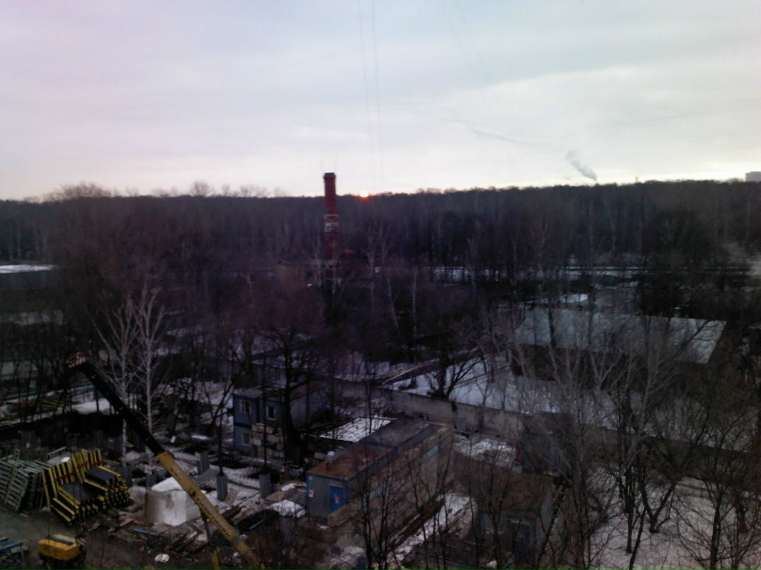 Alex Bird | Москва