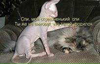 №4 Катерина Уваркина 01.04.1983: профиль, фото, статус - ВКонтакте №4 Катерина Уваркина 01.04.1983: профиль, фото, статус - ВКонтакте