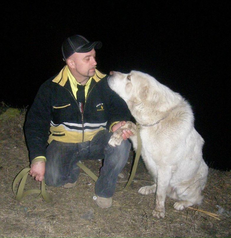 Александр Глумаков | 