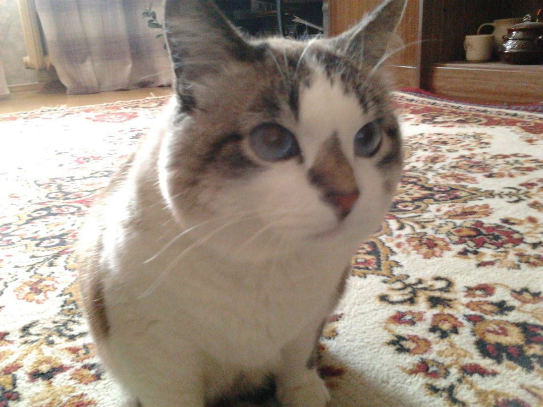 Дарья Богданова | Екатеринбург