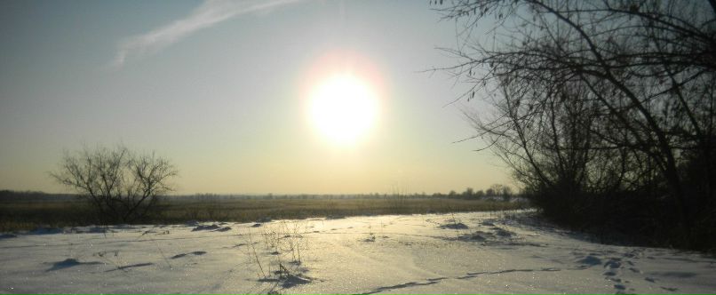 Владимир Пушкин | Потоки