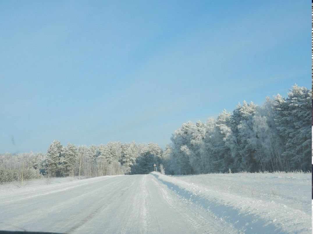 Павел Шабалин | Новосибирск