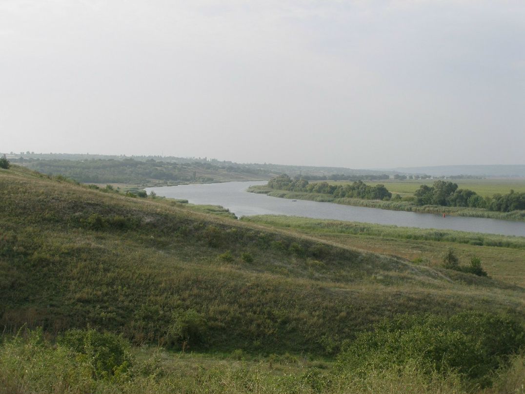 Світлана Лозова | 