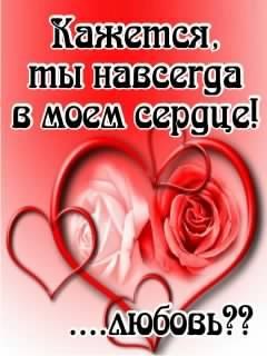 Дима Ильин | Великий Новгород