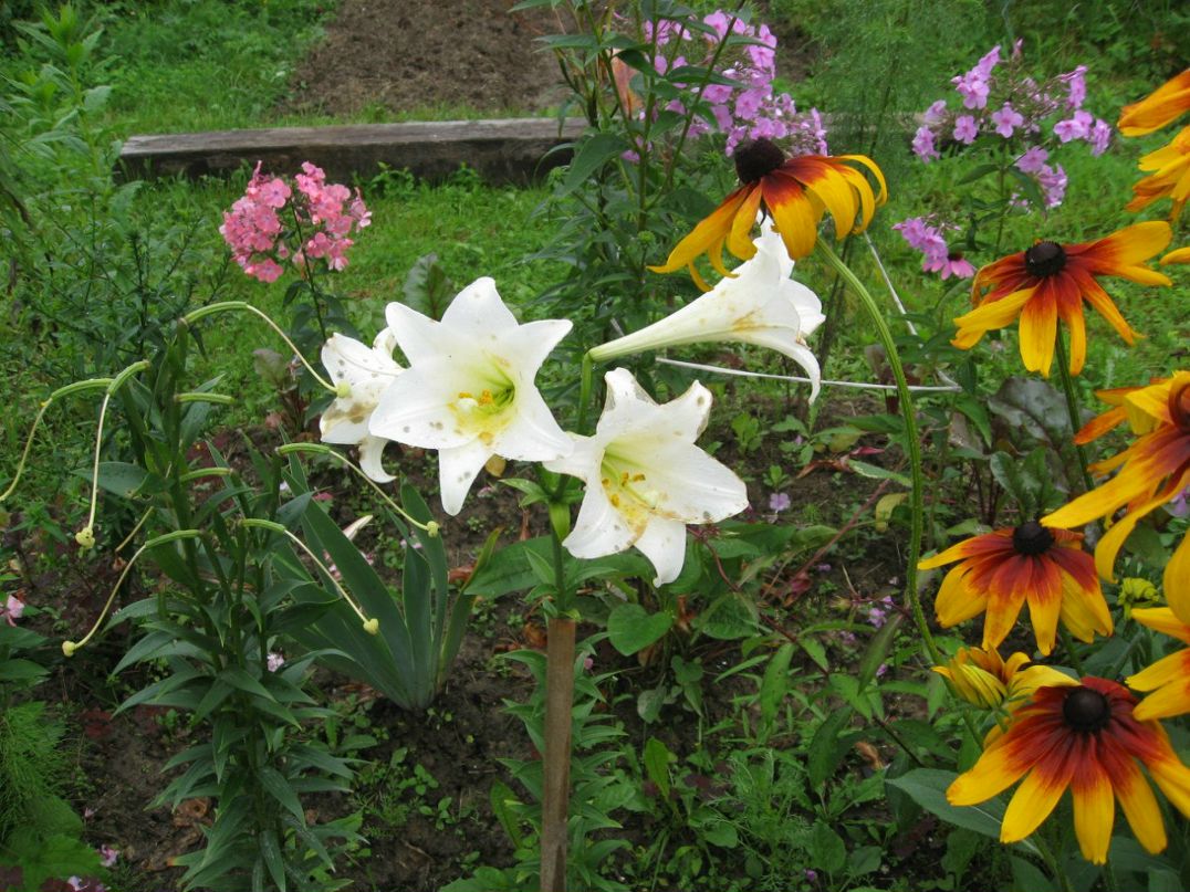 Евгения Рослякова | Санкт-Петербург