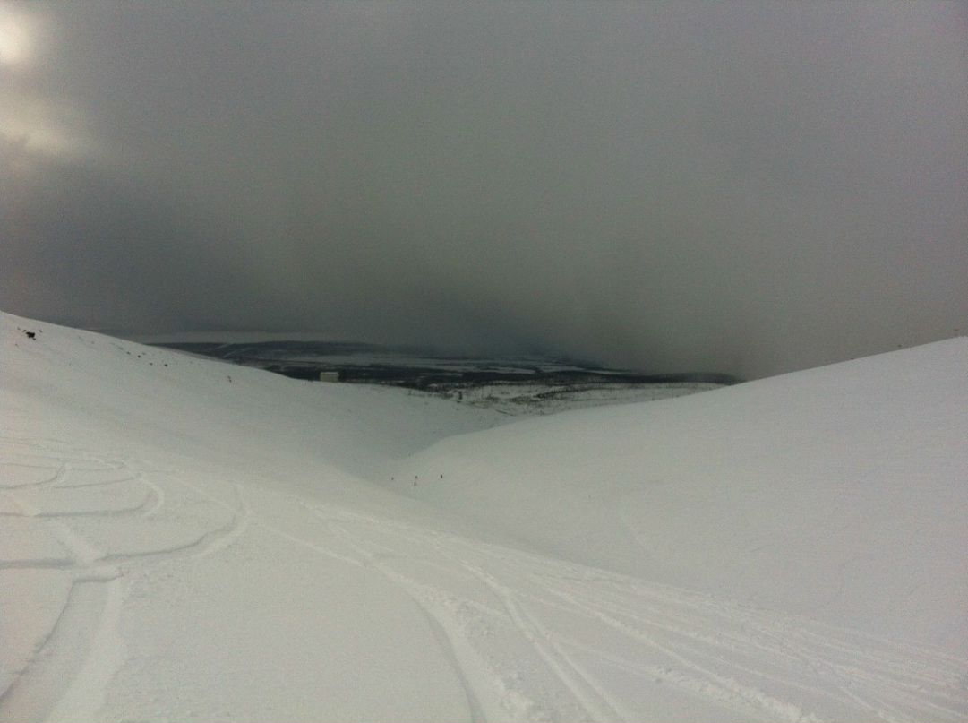 Иван Сербул VeNoM | Санкт-Петербург