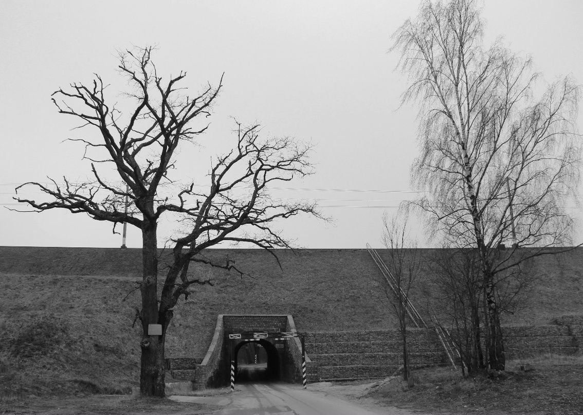 Герд Визлер | Калининград