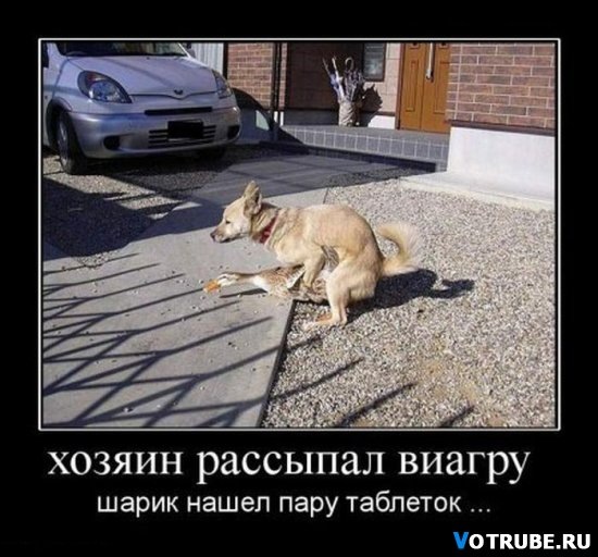 №109, Валентин Захарцев, 47 лет, Тверь №109, Валентин Захарцев, 47 лет, Тверь