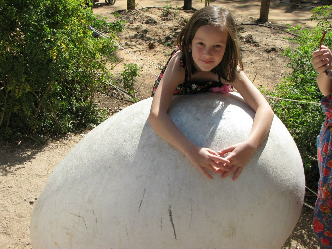 Светлана Нудельман | Kiryat Bialik