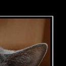 №97, Виталина Мач, Харьков №97, Виталина Мач, Харьков