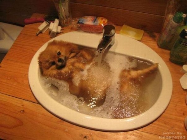 Мария Хоробрых | Печора