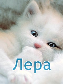 Лера Черненко | Чернигов