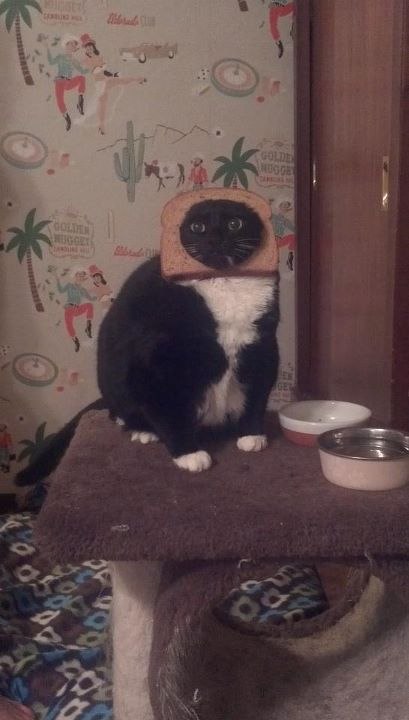 Евгений Петкун | Санкт-Петербург