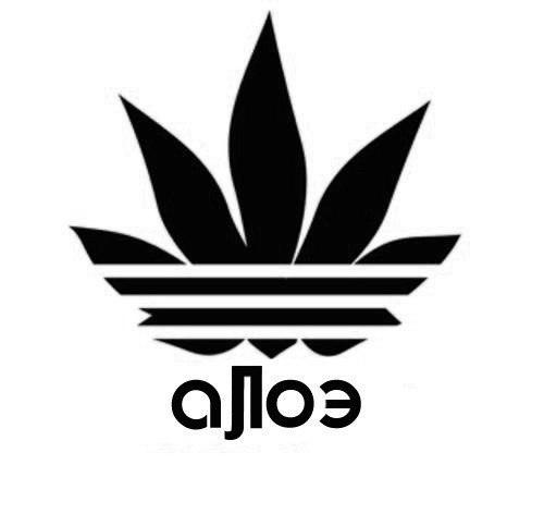 №10, Денис Мишин №10, Денис Мишин