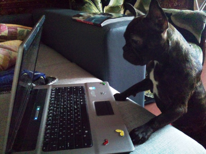 Татьяна Ско | Омск