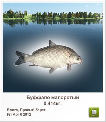 Сергей Алексеев | Санкт-Петербург