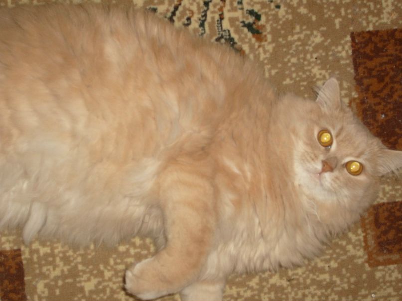 София Стоянова | Березники