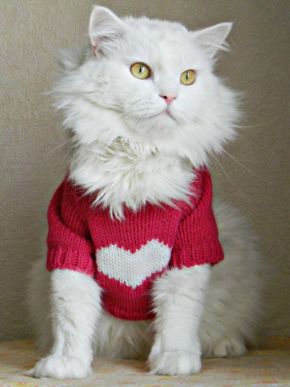 Мария Сырцева | Киров