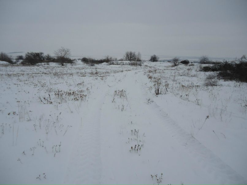 Дима Хачев | Донецк