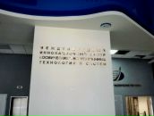 №20, Ирина Левчук, 8.12, Москва, Россия