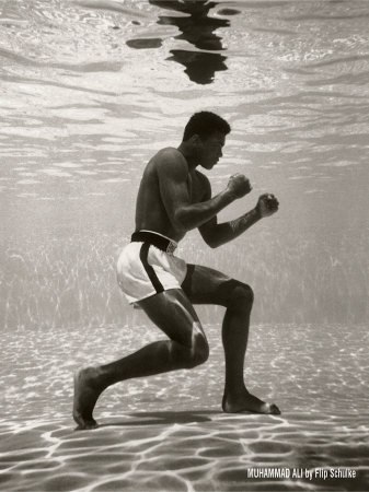 Кирилл Мерцалов | Курск