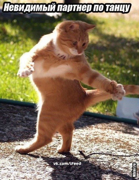 Евгений Бобровников | Новосибирск