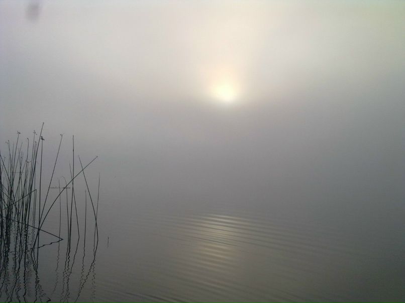 Дмитрий Никифоров | Санкт-Петербург