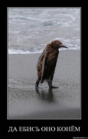 №9, Александр Гнатенко, 20.6, Киев №9, Александр Гнатенко, 20.6, Киев