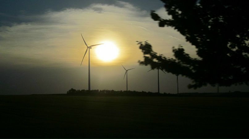 Алла Онишкив | Чернигов