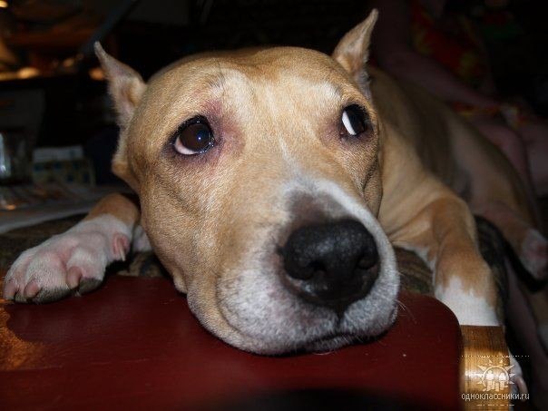 Юлия Панчева | Москва