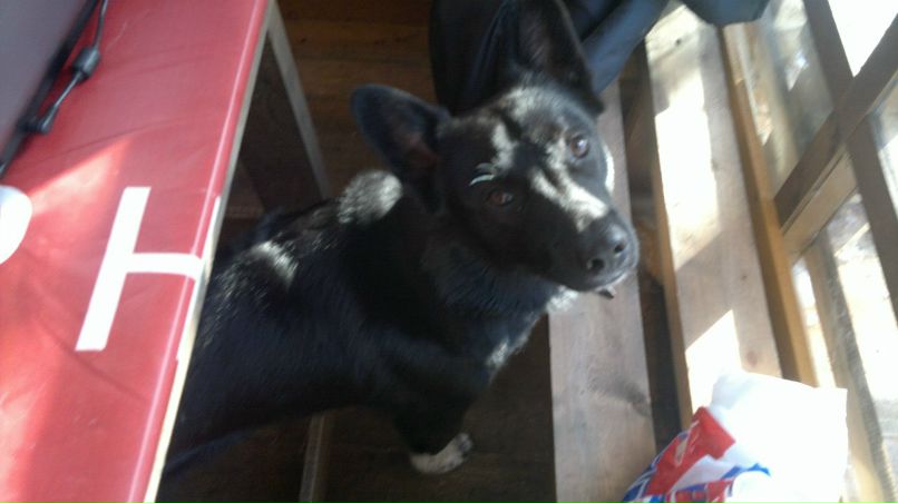 Николай Федорук | Мурманск