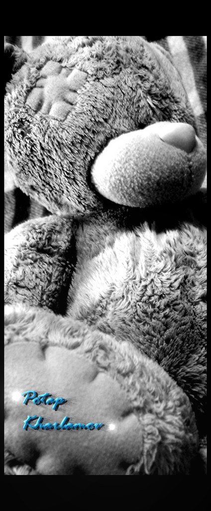 Potap Kharlamov ★Honey Bear★ | Барнаул