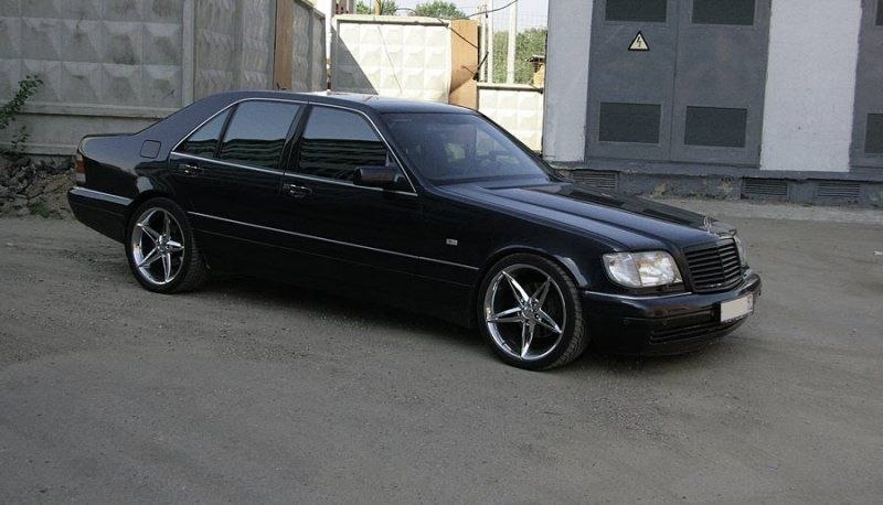 Екатерина Фокина | Петрозаводск