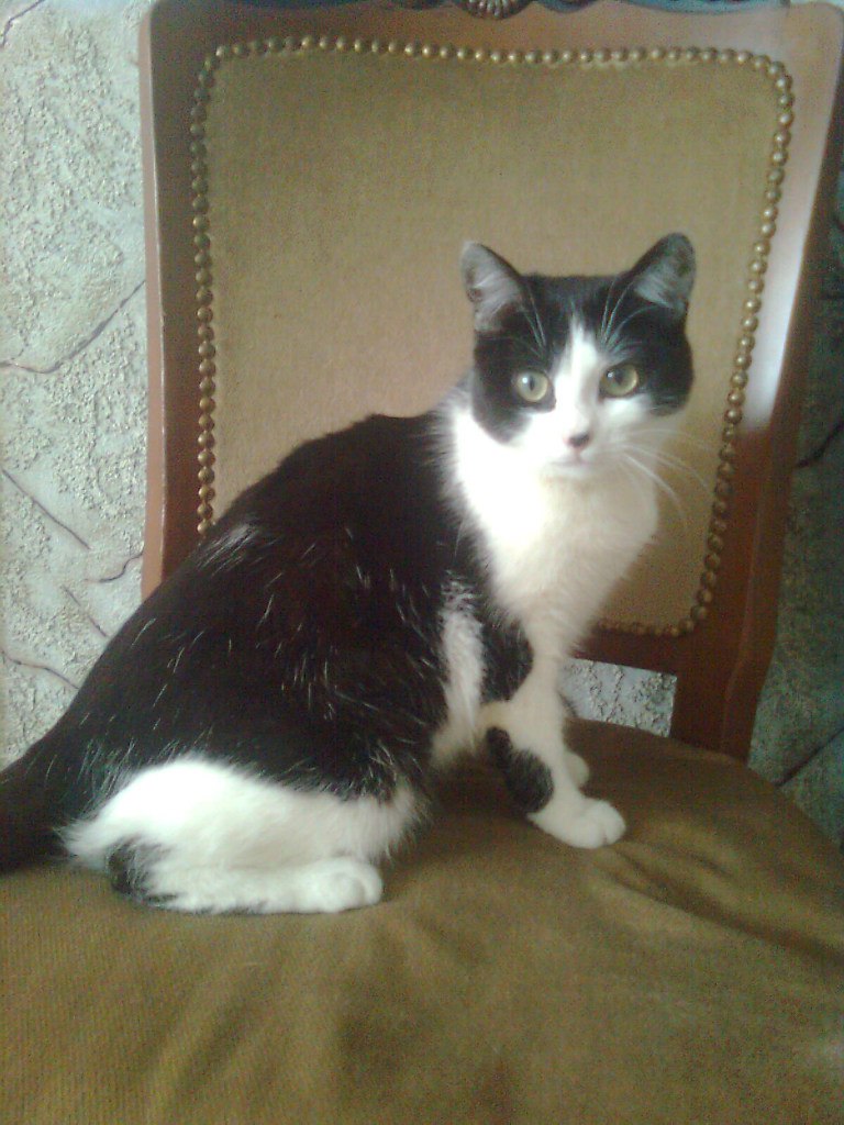 Елена Кузнецова | Каменское / Днепродзержинск