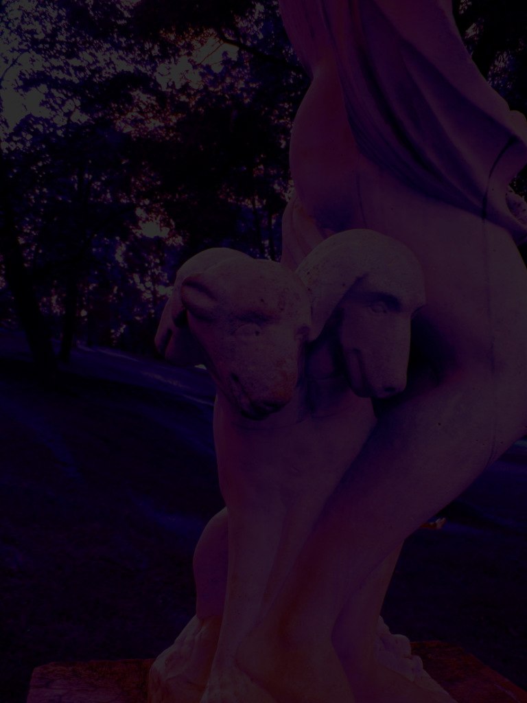 Света Баева Svet | Минск